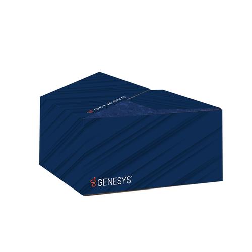 Genesys Box with Crinkle Paper